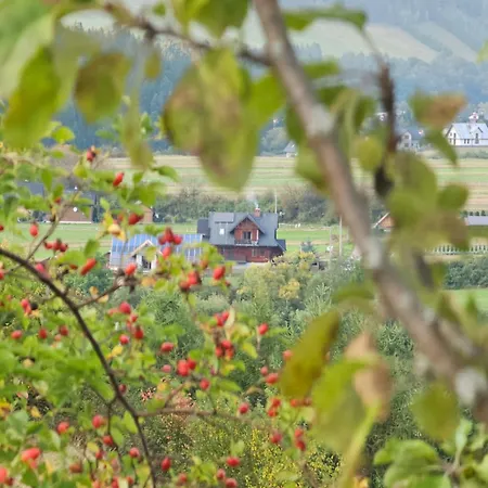 シャレー Nasza Na Koncu Swiata - Bania Z Jacuzzy, Palenisko, Kominek, Planszowki Kacwin